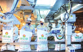 Phân bón Cà Mau vượt chỉ tiêu kế hoạch quý I/2022