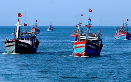 Việt Nam lên tiếng về việc Trung Quốc ban hành lệnh cấm đánh bắt cá ở Biển Đông