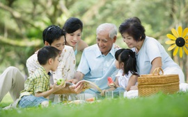 Triển khai Chiến lược phát triển gia đình Việt Nam đến năm 2030