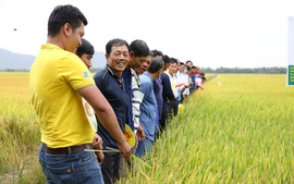 NPK Cà Mau đồng hành cùng ngành nông nghiệp hướng đến phát triển bền vững