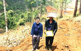 Vụ phá rừng tại Lâm Đồng: Bắt tạm giam đối tượng chủ mưu