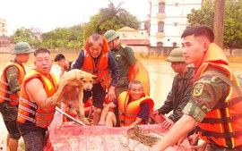 Lạng Sơn: Mưa lũ làm 3 người chết, mất tích, thiệt hại gần 400 tỷ đồng