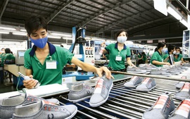Công nghiệp hỗ trợ ngành da giày phấn đấu đáp ứng 70-80% nhu cầu trong nước