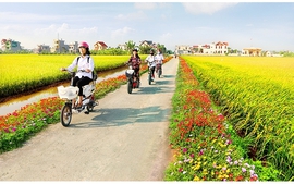 Nam Định: Tiên phong xây dựng nông thôn mới nâng cao, kiểu mẫu
