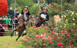 Du lịch Sa Pa lập kỷ lục với 'Vó ngựa trên mây' và Caraval đường phố đậm đà bản sắc
