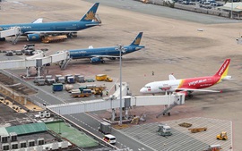 Tăng cường kiểm soát chim, động vật hoang dã tại cảng hàng không, sân bay