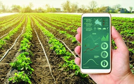 Mở rộng cơ hội kinh doanh nông nghiệp thông minh
