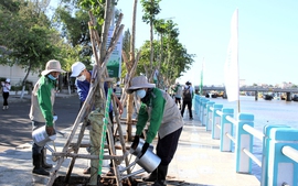 Bình Thuận đẩy mạnh trồng cây xanh: Dân đồng tình, doanh nghiệp đồng lòng