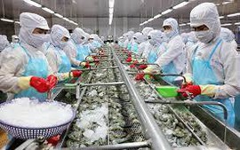Xuất khẩu tôm Việt Nam sang Canada tăng cao nhất trong khối CPTPP