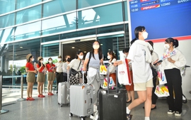 Đà Nẵng xét nghiệm COVID-19 miễn phí cho khách Hàn Quốc trước khi về nước