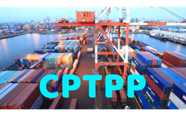 Thuế xuất khẩu ưu đãi thực hiện Hiệp định CPTPP từ 8,3%-3,6%