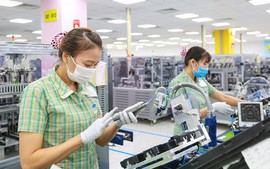 Cơ hội lớn cho hàng hóa Việt Nam xuất khẩu sang thị trường châu Mỹ