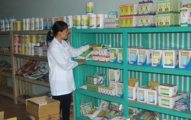 Hoàn thiện quy định quản lý thuốc thú y chứa chất ma túy, tiền chất