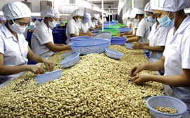Hỗ trợ doanh nghiệp xuất khẩu thực phẩm sang các thị trường thành viên RCEP