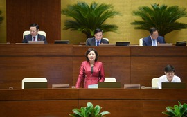 TỔNG THUẬT: Thống đốc Nguyễn Thị Hồng trả lời chất vấn