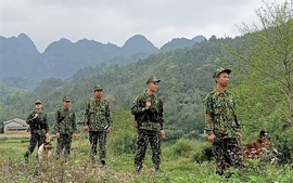 Ban hành 3 văn bản quy phạm pháp luật của Chính phủ trong tháng 6