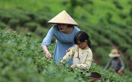 Liên kết bền vững là chìa khóa mở ra cho phát triển du lịch Việt Nam