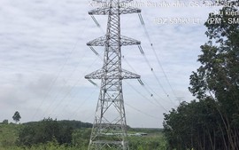 Bốn dự án truyền tải điện cấp bách tại Đồng Nai cần gỡ vướng mặt bằng