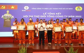 80 kỹ sư, công nhân đạt danh hiệu thợ giỏi ngành điện TPHCM năm 2022