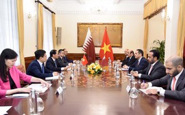 Bộ trưởng Ngoại giao Bùi Thanh Sơn hội đàm với Phó Thủ tướng, Bộ trưởng Ngoại giao Qatar