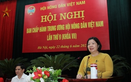 Phê chuẩn miễn nhiệm Phó Chủ tịch UBND tỉnh Bạc Liêu