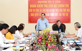 Đoàn kiểm tra của Bộ Chính trị làm việc tại Nam Định