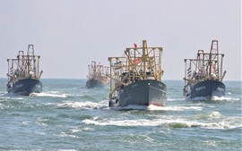 Sẽ sửa đổi, bổ sung chính sách hỗ trợ ngư dân bị rủi ro do thiên tai 