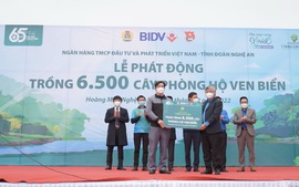 BIDV trồng 6.500 cây phòng hộ ven biển tại Nghệ An