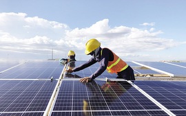 Bộ Công Thương trả lời về đề xuất ưu tiên tăng mua điện mặt trời