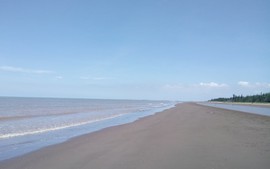 Khai thác tiềm năng du lịch biển ở Thạnh Phú, Bến Tre