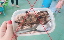 NÓNG: Hộp cơm thịt chuột trong bữa ăn học sinh vùng cao là không chính xác