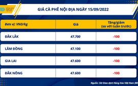 Giá cà phê nội địa vẫn còn nhiều dư địa tăng