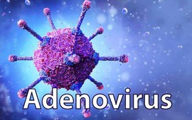 Phòng và điều trị khi nhiễm Adenovirus như thế nào?