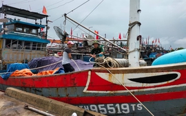 Thừa Thiên Huế thực hiện lệnh cấm biển, rà soát phương án sơ tán người dân