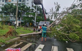 Quảng Nam, Đà Nẵng bắt đầu rà soát, khắc phục hậu quả bão số 4