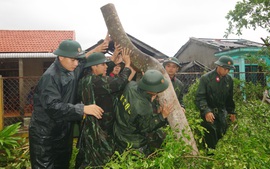 Thừa Thiên Huế: Khắc phục nhanh hậu quả bão, khôi phục đời sống dân sinh