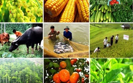 Thời hạn giám định tư pháp lĩnh vực nông nghiệp tối đa 3 tháng