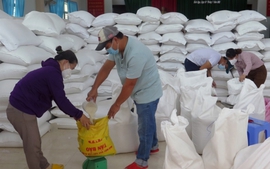 Chỉ đạo, điều hành của Chính phủ, Thủ tướng Chính phủ nổi bật tuần từ 9-13/1/2023