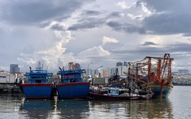 Đà Nẵng không có tàu cá vi phạm khai thác hải sản ở vùng biển nước ngoài từ năm 2007