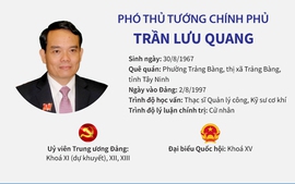 Infographics: Tiểu sử Phó Thủ tướng Chính phủ Trần Lưu Quang