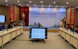 Phát triển bền vững thị trường năng lượng tái tạo tại Việt Nam trong giai đoạn mới