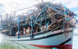 Vụ chìm tàu ở Quảng Nam: 2 ngư dân tử vong; cấm biển từ 16h ngày 17/10