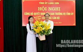 Phê chuẩn miễn nhiệm Phó Chủ tịch UBND tỉnh Lạng Sơn