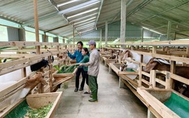 Cầu nối đưa nguồn vốn tín dụng ưu đãi đến nông dân huyện Hương Sơn