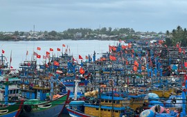 Vi phạm lĩnh vực thủy sản, một chủ tàu cá Quảng Ngãi bị phạt hơn 850 triệu đồng