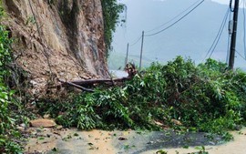 Đà Nẵng: Mưa lớn gây sạt lở đèo La Ngà