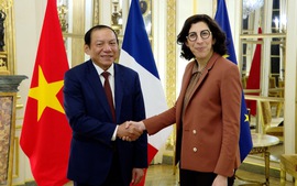 Hợp tác văn hóa Việt Nam-Pháp là một điểm sáng, kết nối tình hữu nghị giữa hai dân tộc