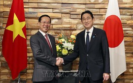 Nâng cấp quan hệ Việt Nam-Nhật Bản lên 'Đối tác Chiến lược toàn diện vì hòa bình và thịnh vượng tại châu Á và trên thế giới'