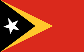 Điện mừng kỷ niệm lần thứ 48 Ngày độc lập của Timor-Leste