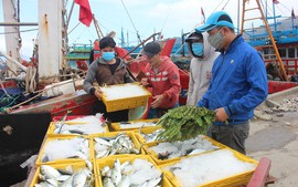 Quảng Ngãi: Vi phạm hành chính lĩnh vực thủy, 2 tàu cá bị phạt hơn 3 tỷ đồng
